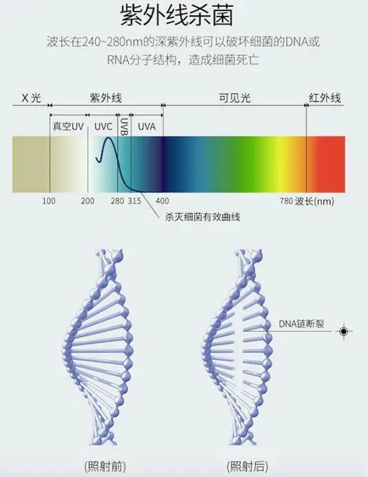紫外線殺菌