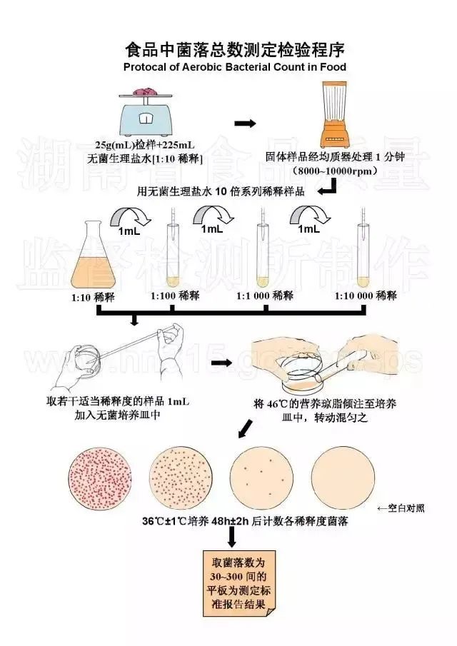 菌落總數(shù)檢驗(yàn)程序
