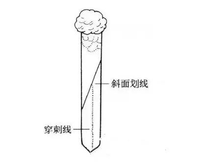 斜面接種法