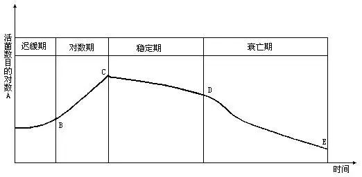 生長曲線示意圖