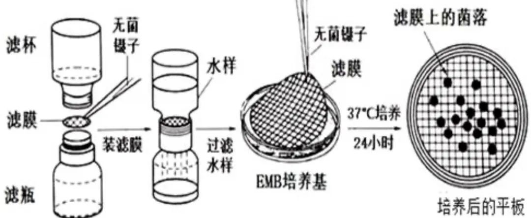 薄膜計數(shù)法