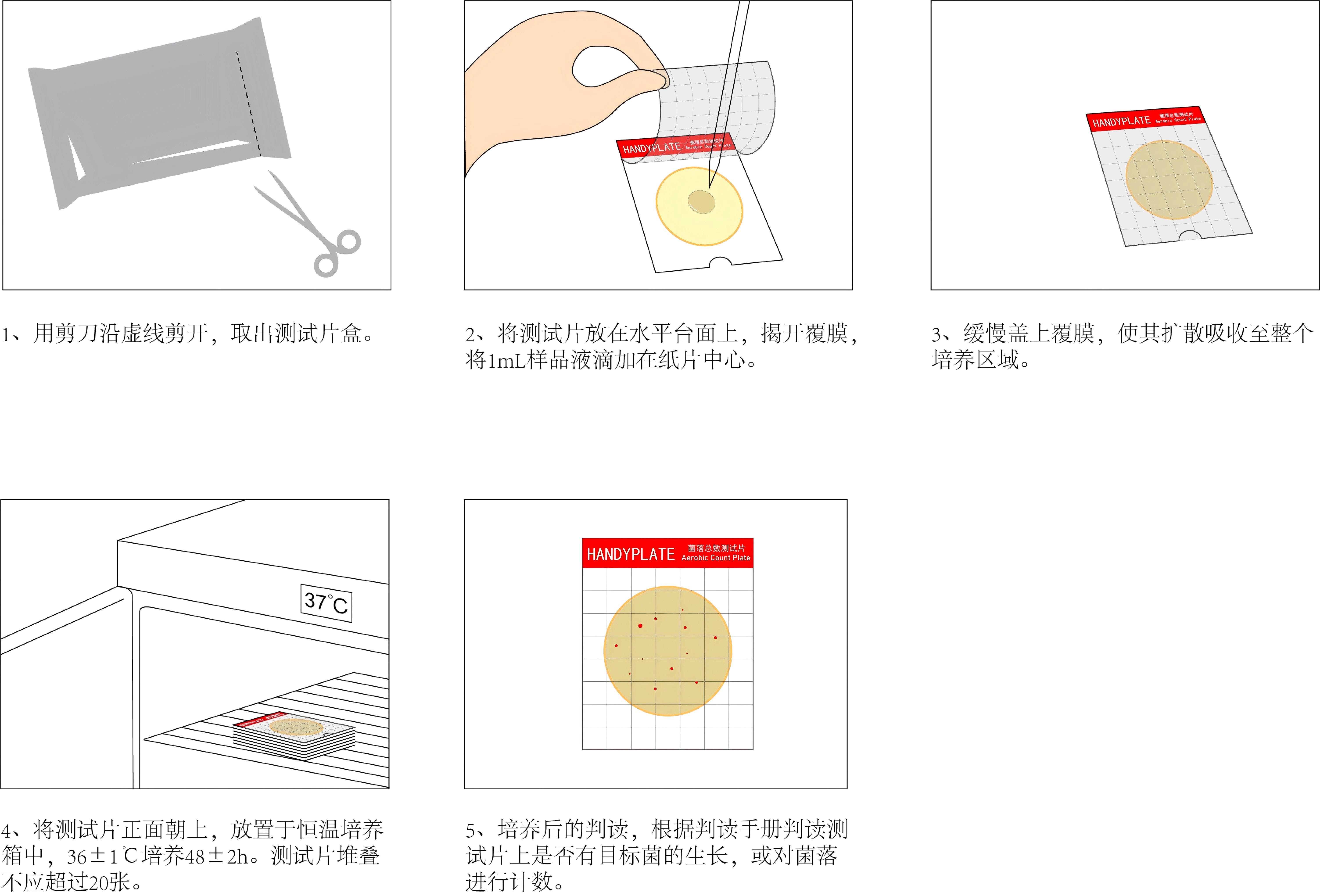 HandyPlate®菌落總數(shù)測試片(微生物快速檢測紙片)操作圖解